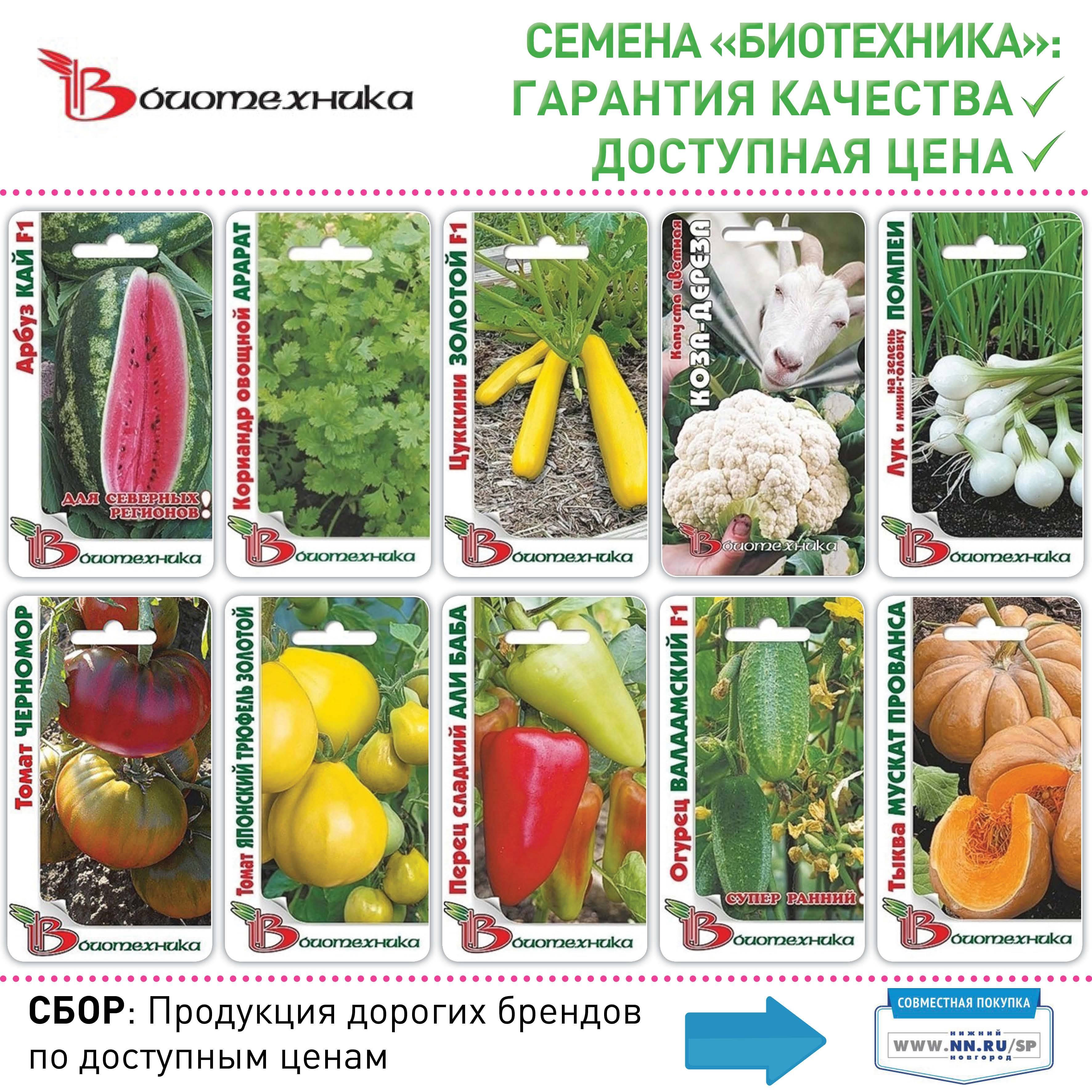 Рейтинг, описание и отзывы о производителе семян агрофирме Биотехника