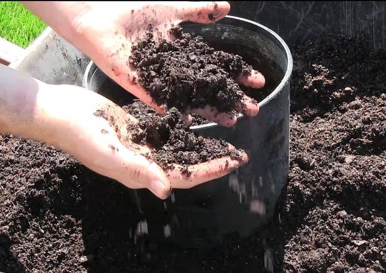 Подготовка почвы к посадке рассады. особенности выращивания томатов и помидор. | cельхозпортал