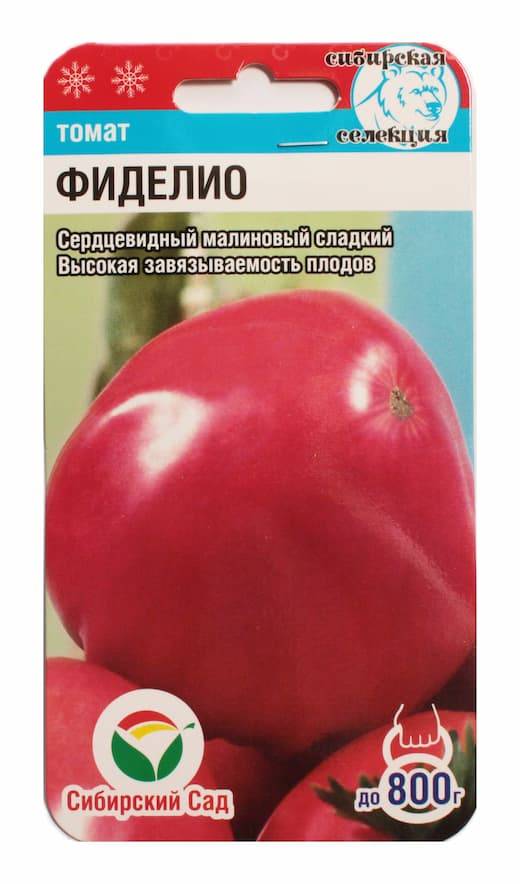 Описание крупноплодного томата фиделио и выращивание сорта рассадным методом