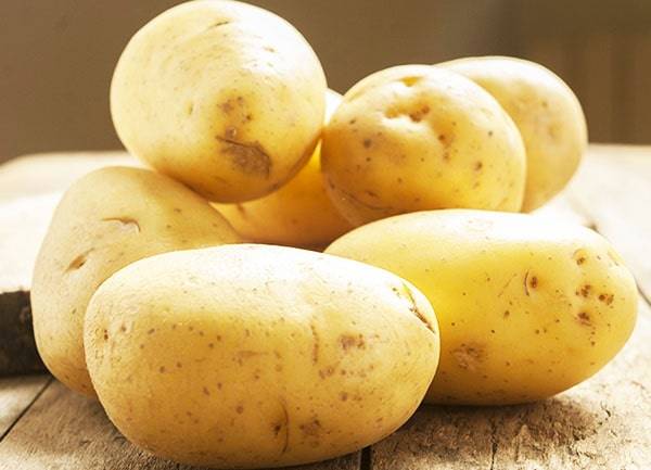 Сорт картофеля коломбо – характеристика и описание, отзывы, фото