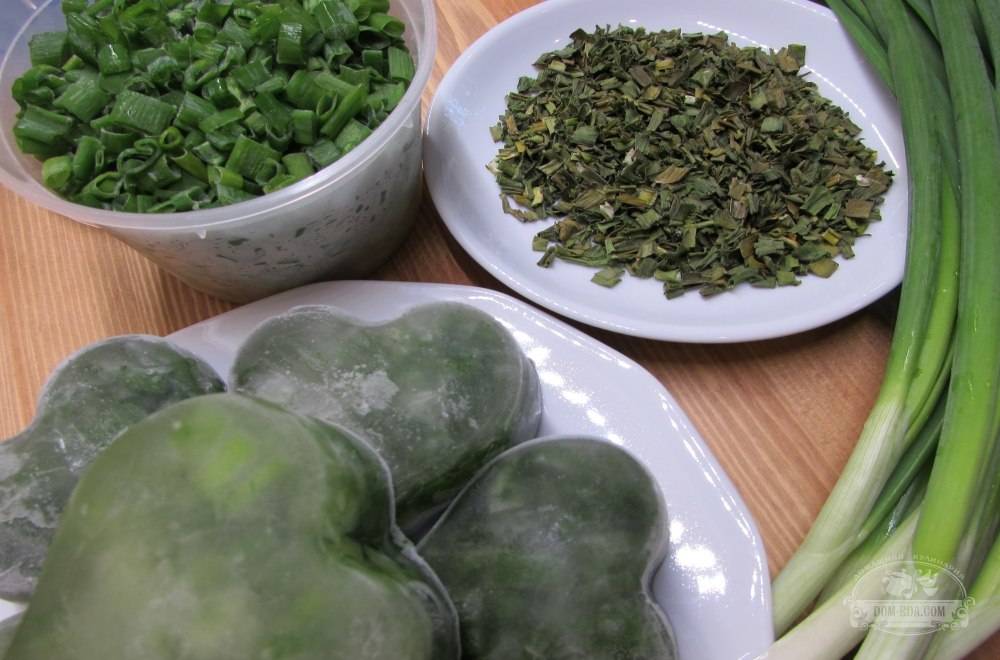 Как солить зелёный лук на зиму: лучшие рецепты, способы, описание, видео