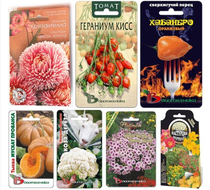 Биотехника семена: рейтинг агрофирмы, описание и отзывы о производителе