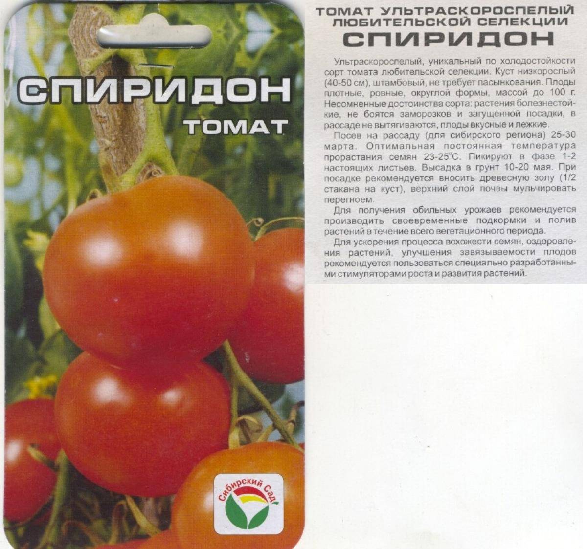 Штамбовые сорта томатов с фото и описанием