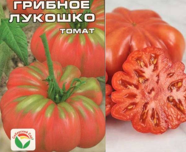 Грибное лукошко томат: характеристика и описание сорта, особенности выращивания и уход