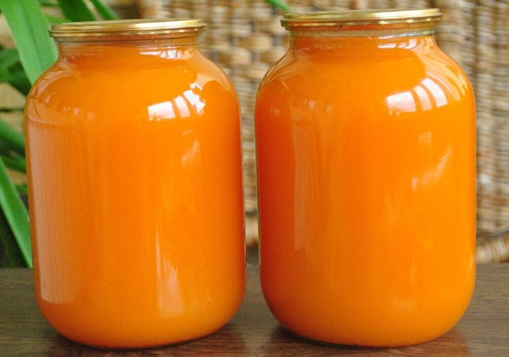 Сок из апельсина — 9 вкусных рецептов, как приготовить дома