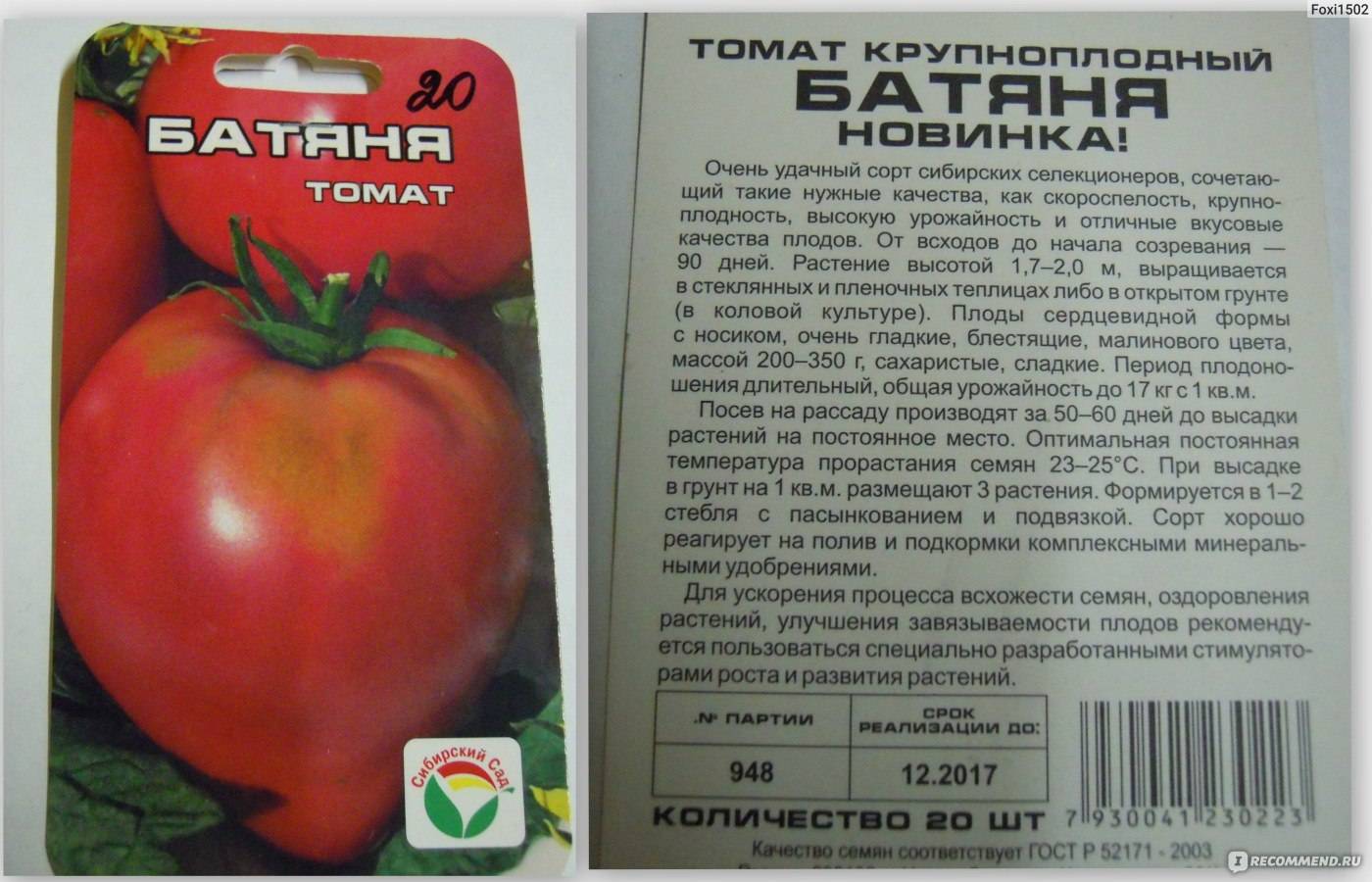 Томат матиас f1: описание сорта, фото и отзывы об урожайности помидоров, характеристика куста