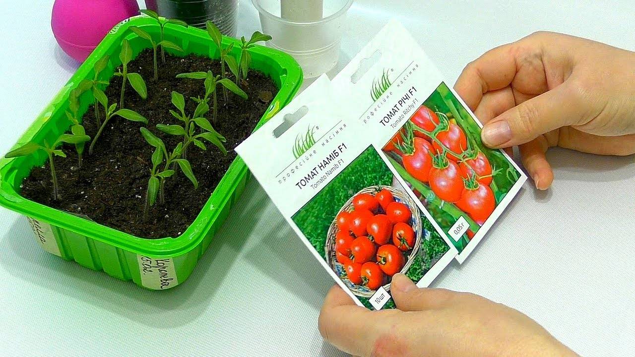 Как сажать помидоры на рассаду в торфяные таблетки: мастер-класс с фото и видео