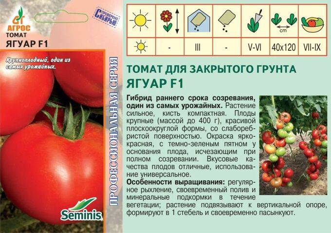 Голландские гибриды томатов для теплиц - аграрный журнал