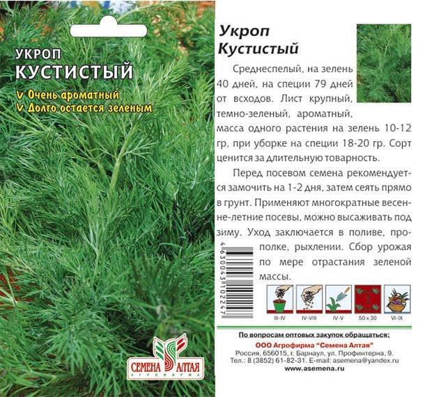 Укроп – лучшие сорта на зелень. описание. фото — ботаничка