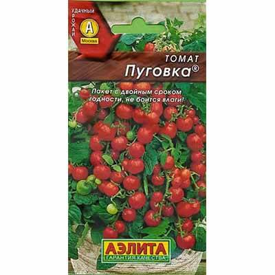 Сорт с аппетитными помидорками — томат пуговка: отзывы об урожайности, характеристики куста