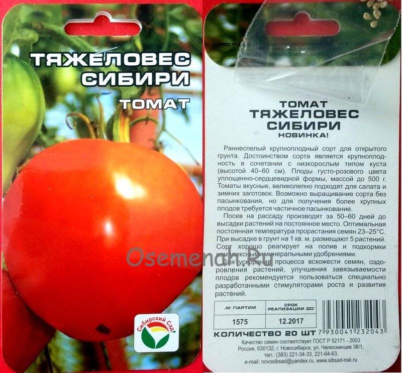 Описание сорта томата «анастасия»: основные характеристики, фото помидоров, урожайность, особенности и важные достоинства