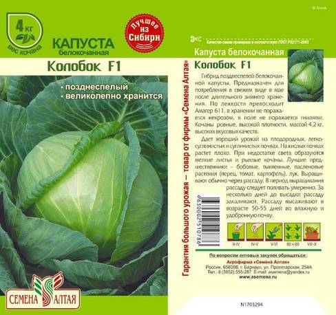 Капуста центурион f1: характеристика гибрида и описание урожайности сорта, отзывы тех, кто сажал о вкусовых качествах, фото семян