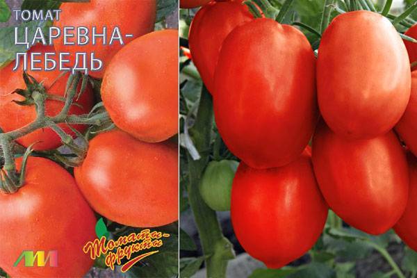 Высокоурожайный гибрид отменного вкуса — томат «ирина»: характеристика и описание сорта, фото