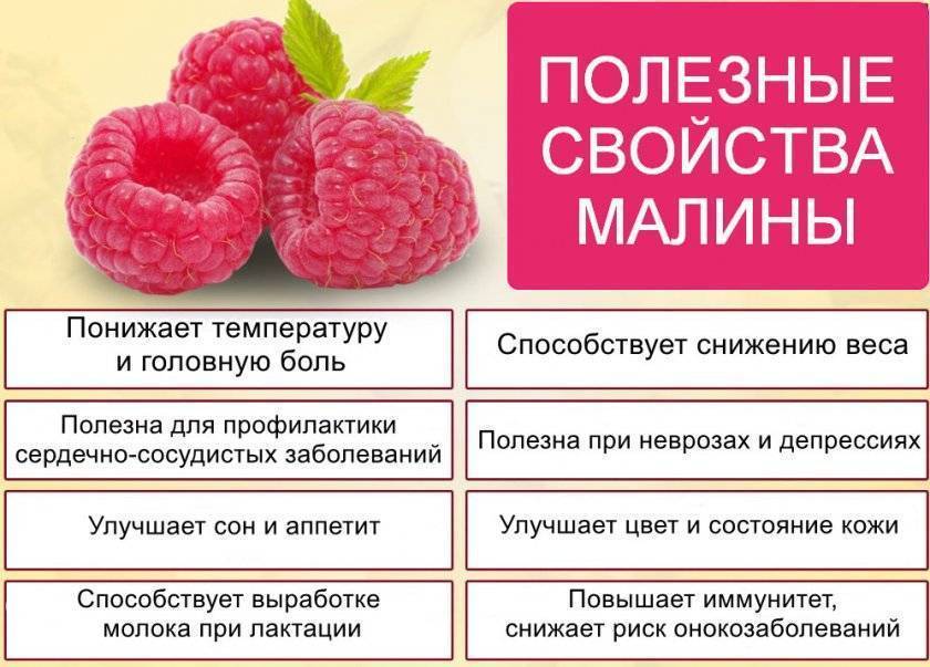 Арбуз: польза и вред для организма человека, калорийность, как выбрать спелую ягоду