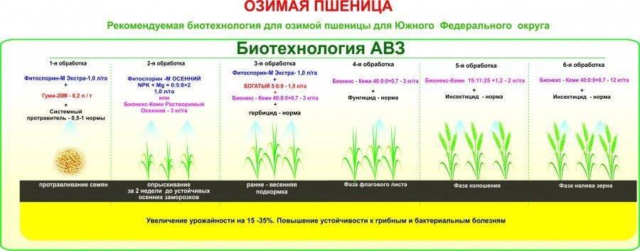 Разновидности гербицидов для борьбы с сорняками: название препаратов и описание