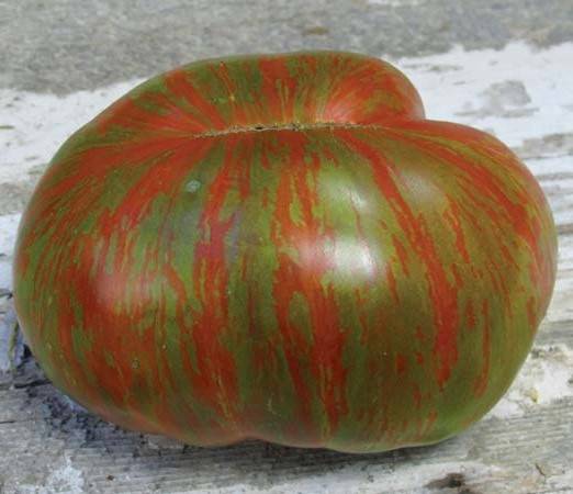 Характеристика томата большой полосатый кабан и особенности выращивания