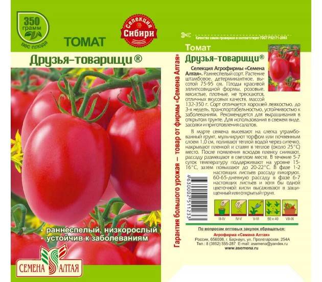 Описание сорта томата яна, особенности выращивания и урожайность