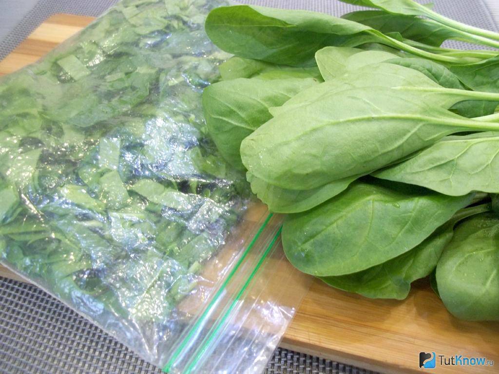 Как заморозить шпинат на зиму в домашних условиях: какой метод заготовки лучше, в чем польза, можно ли использовать цельные листья, как правильно употреблять в пищу?