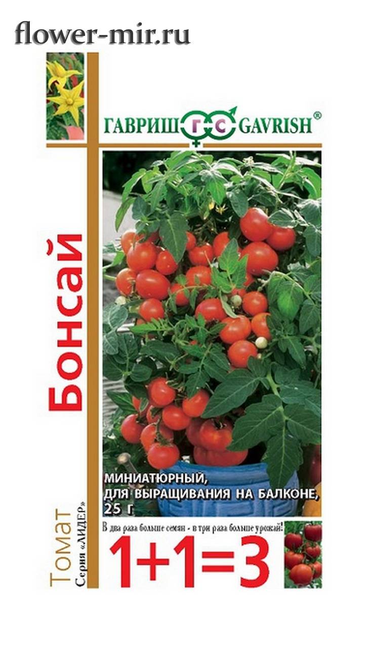 Томаты бонсай: характеристика и описание, выращивание помидоров дома на подоконнике или балконе пошагово, отзывы об урожайности балконных томатов