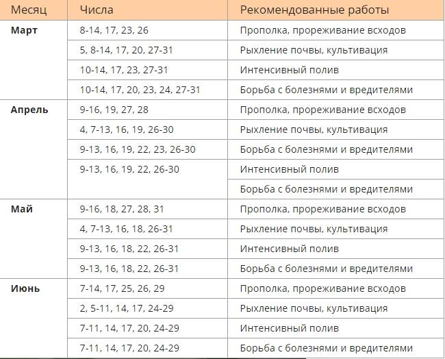 Посадка огурцов в мае 2021 по лунному календарю благоприятные дни