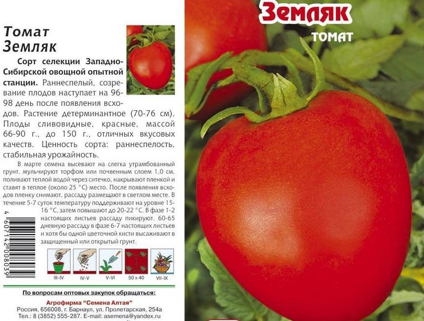 Полное описание и характеристики сорта томата линда