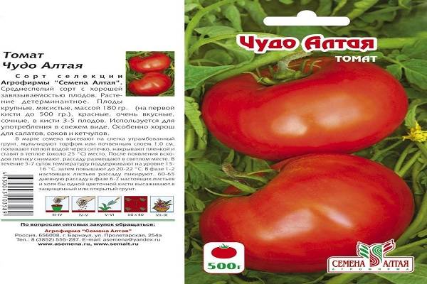 Характеристика и описание помидоров «чудо рынка» с фото