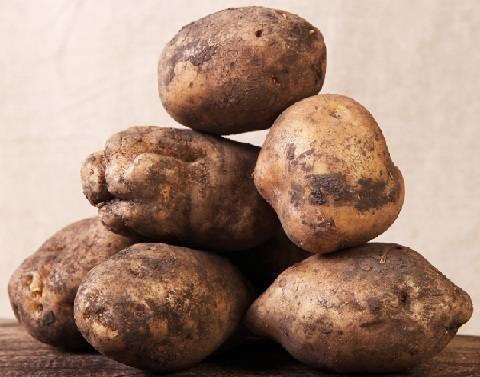 Сорт картофеля «лорх»: описание, посадка, выращивание и уход: характеристики, свойства, методы