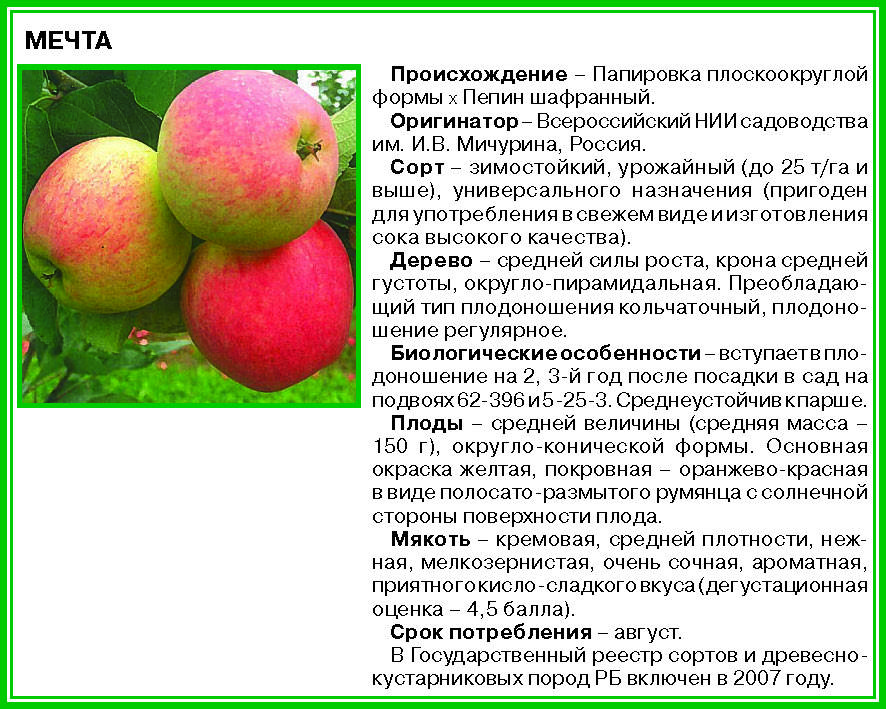 Яблоня ауксис описание сорта