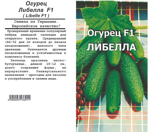 Огурец либелле f1: описание сорта, выращивание, отзывы