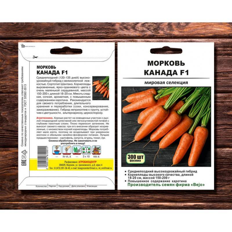 Особенности сорта моркови Канада и описание плодов