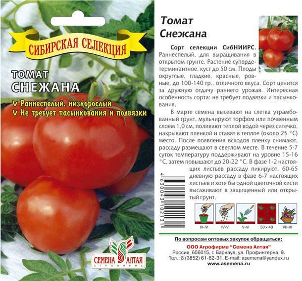 Низкорослый штамбовый сорт томатов Топтыжка, агротехника выращивания