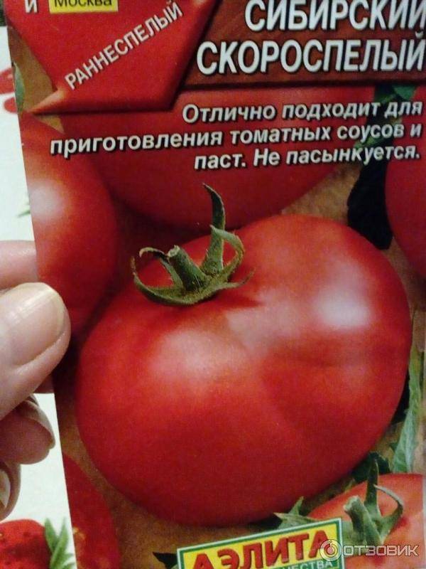 Сорт помидоров "пузата хата": особенности, урожайность, фото