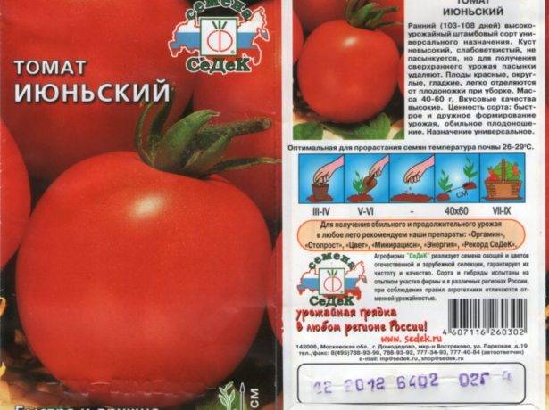 Описание раннеспелых томатов сорта Июньский и агротехника культивирования