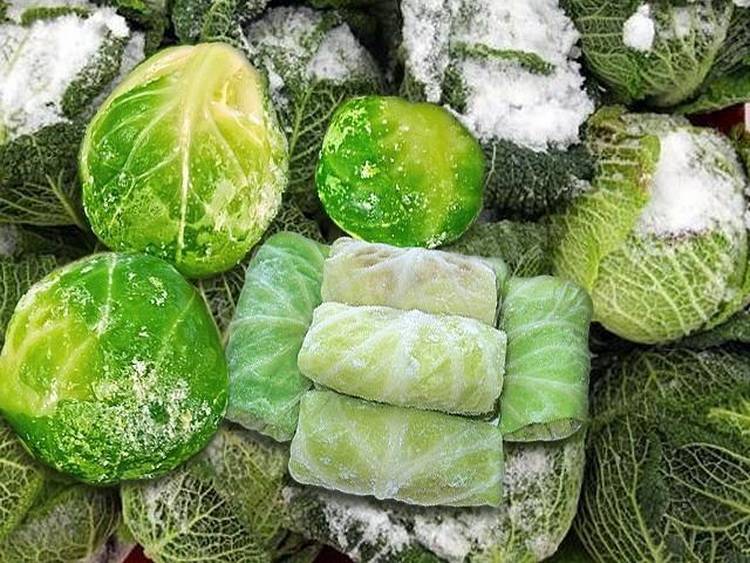 Капуста цветная заморозка. как заморозить цветную капусту на зиму | здоровье человека
