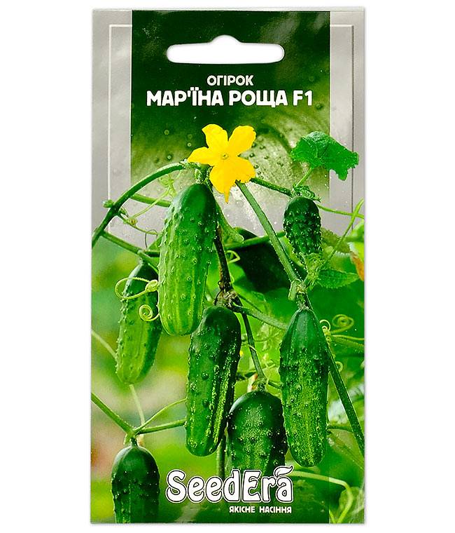 Описание сорта огурцов марьина роща - дневник садовода semena-zdes.ru