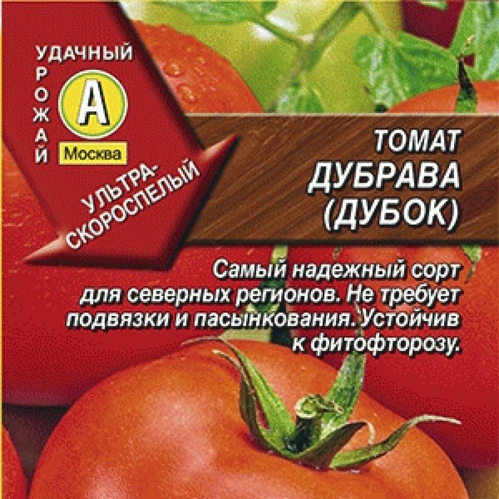 Томат дубрава (дубок): характеристика, урожайность, фото и описание сорта помидор