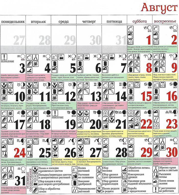 Лунный календарь повседневности: благоприятные дни для разных дел в августе 2021