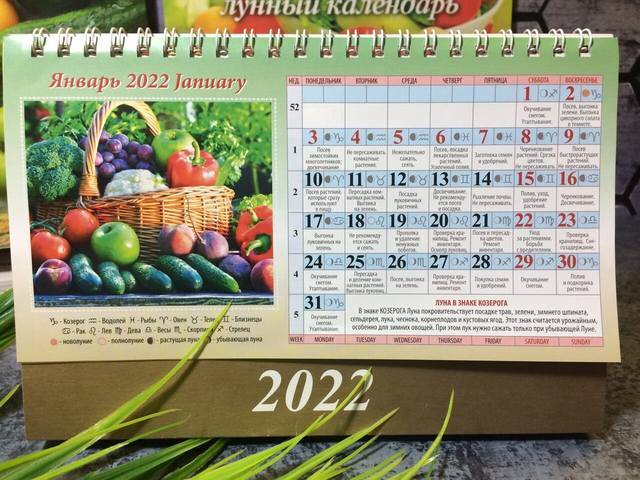 Лунный календарь для садовода и огородника на сентябрь 2021 года