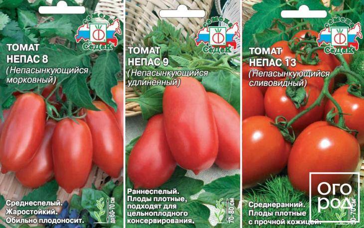 Томат непас: описание самых урожайных и сладких сортов непасынкующихся помидоров