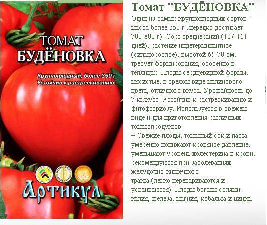 Томат алези: описание и характеристика сорта, урожайность с фото