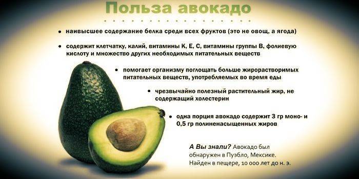 Масло авокадо: полезные свойства и применение в медицине, кулинарии и косметологии