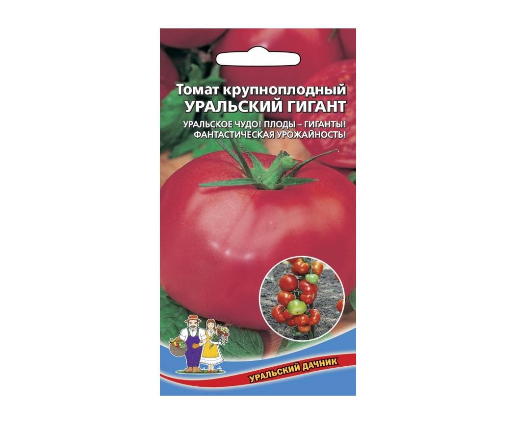 Помидоры малиновый гигант – лучшие представители розовоплодных томатов