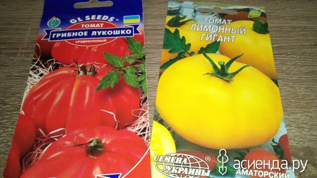 Продуктивный сорт томата — грибное лукошко: описание и особенности его выращивания