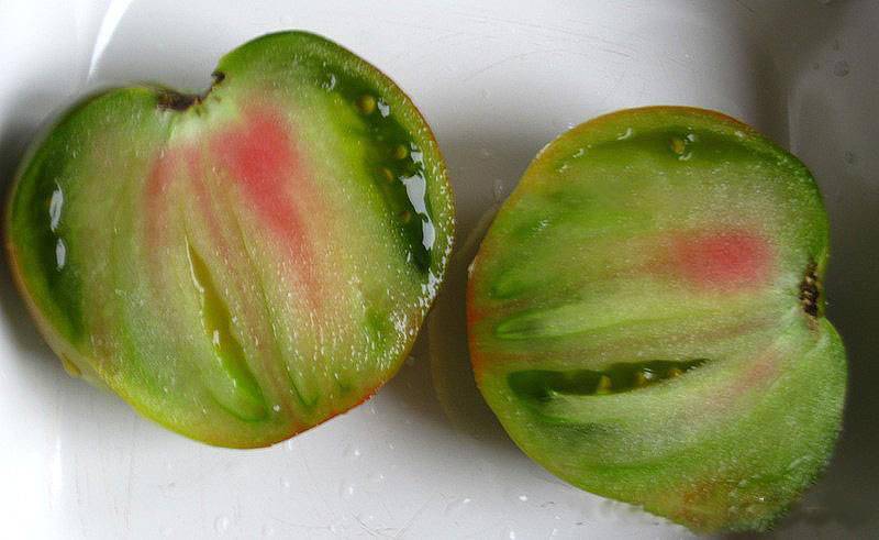 Описание сорта томата заржавевшее сердце эверетта и его характеристика