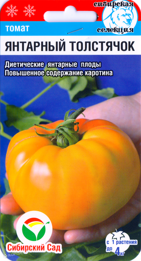 Томат янтарный 530: отзывы тех кто сажал семена седек об их урожайности, характеристика и описание сорта
