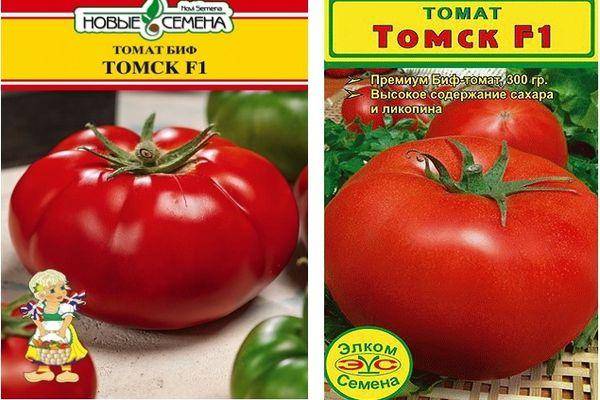 Характеристика блестящего томата Томск f1 и особенности выращивания гибрида