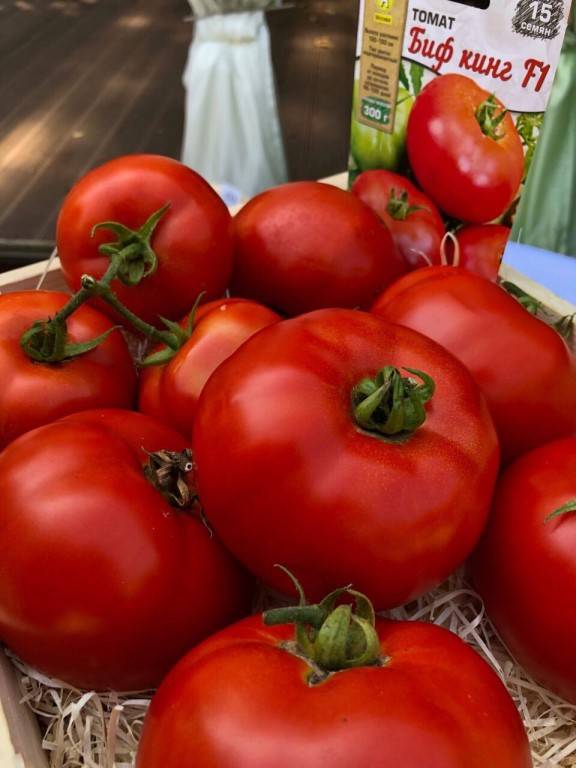 Характеристика и описание томата биф, что это за сорт, его урожайность