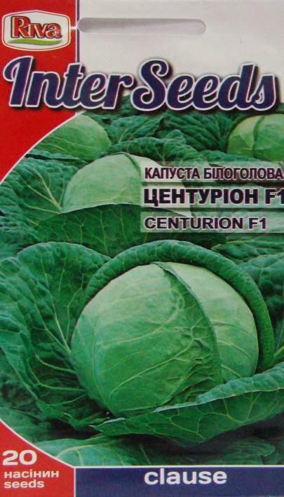 Капуста центурион f1: характеристика гибрида и описание урожайности сорта, отзывы тех, кто сажал о вкусовых качествах, фото семян