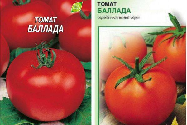 Характеристика томатов Баллада: правила ухода и отзывы