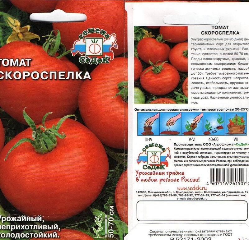 Лучшие сорта томатов для теплиц: условия для выращивания